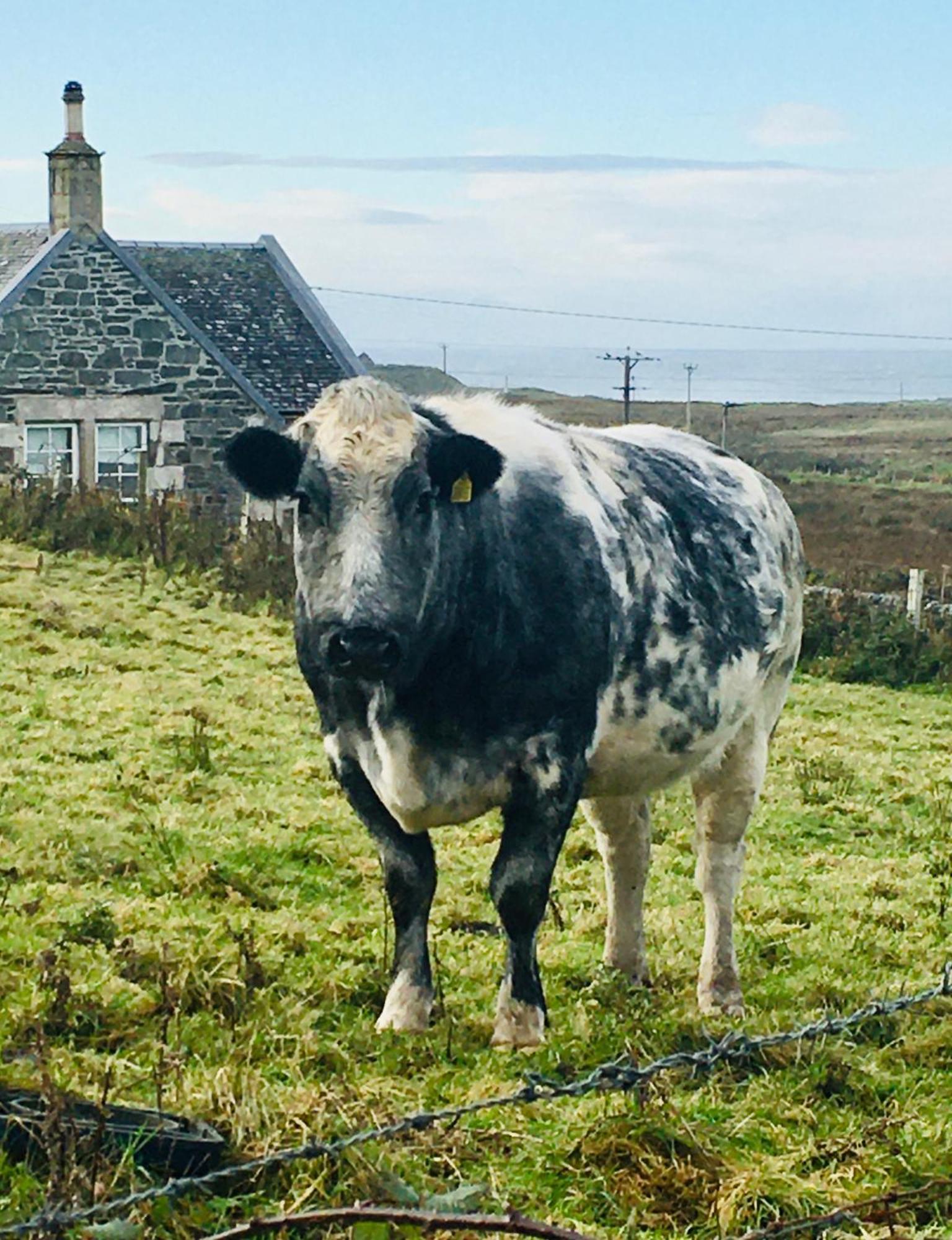 Burnside Lodge Portnahaven Εξωτερικό φωτογραφία