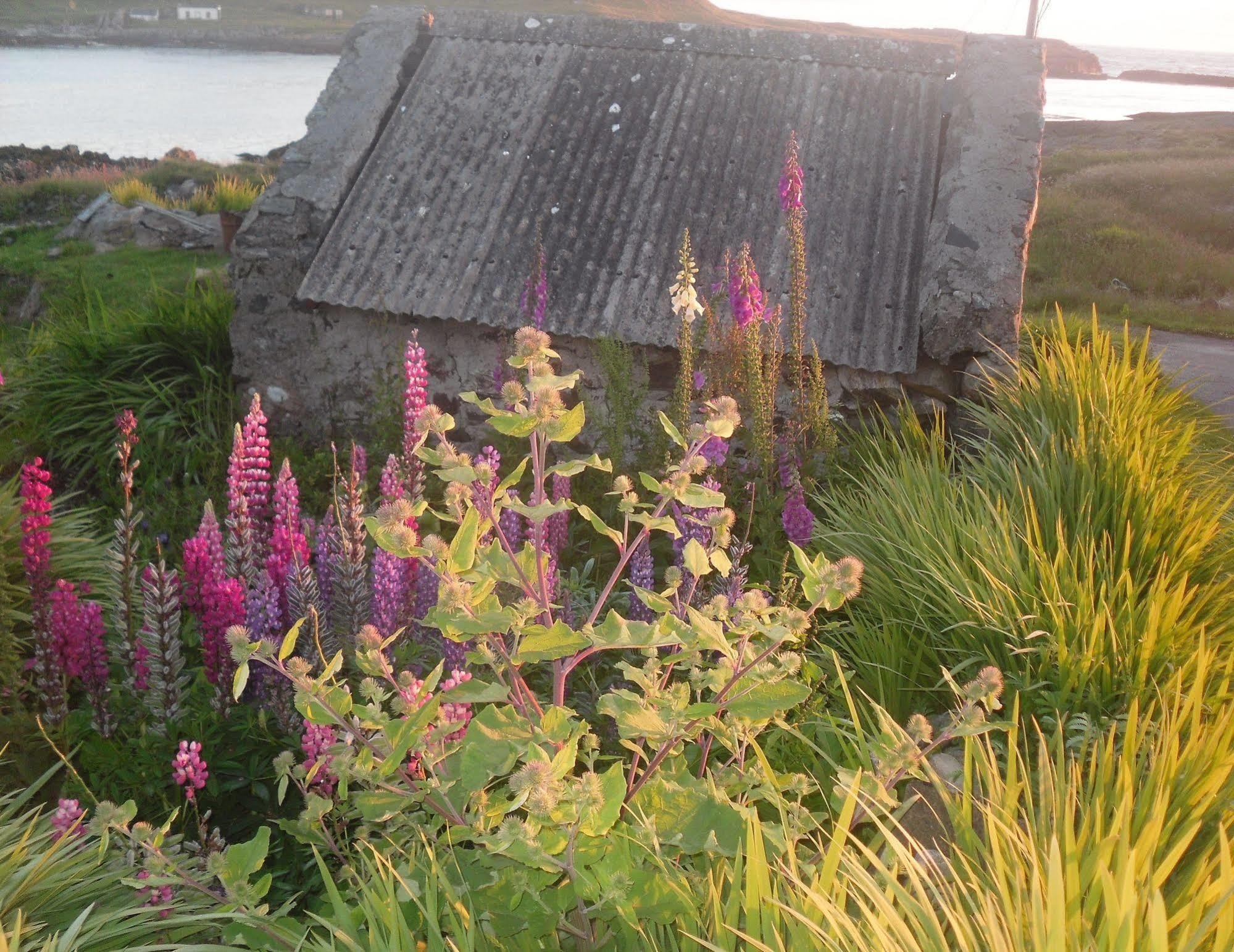 Burnside Lodge Portnahaven Εξωτερικό φωτογραφία
